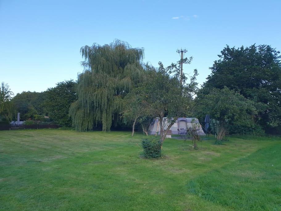 Apartamento Die Kleine Klecks Am Jasmunder Bodden Bergen Auf Rugen Exterior foto